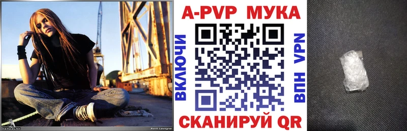 где купить наркоту  Игра  Alfa_PVP VHQ 
