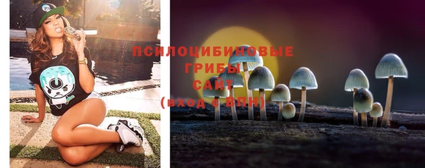 герыч Богородск