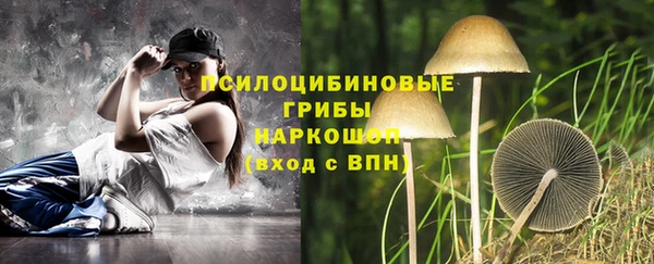а пвп мука Богданович