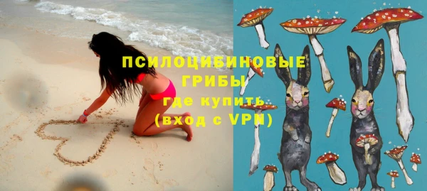 а пвп мука Богданович