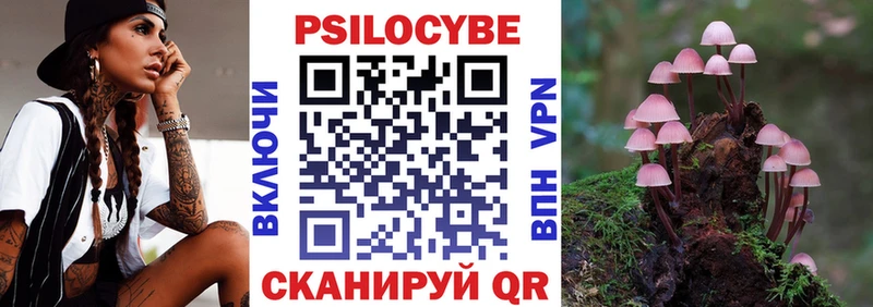 Псилоцибиновые грибы прущие грибы  где можно купить   мориарти какой сайт  Игра 